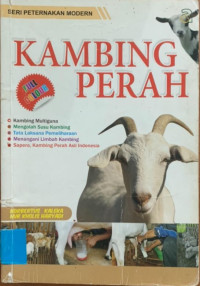 kambing perah