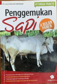 Image of Penggemukan sapi 4 bulan panen