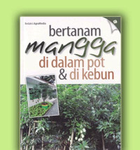 Bertanam mangga di dalam pot & di kebun