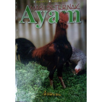 Mari berternak ayam