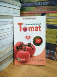 Pedoman bertanam tomat